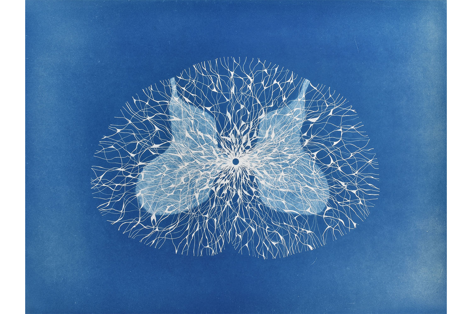 Mary Yacoob, ‘Electrospun…'